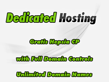 Top dedicated server hosting account